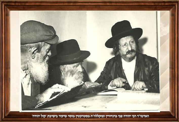 rabbi-yehudah-tzvi-brandwein-199
