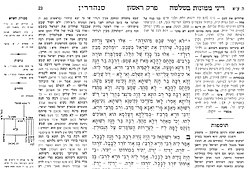 Rabbi Adin Steinsaltz