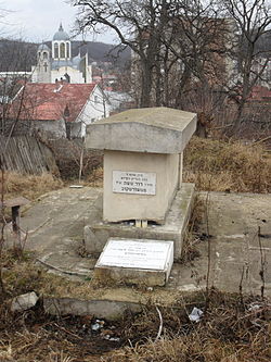 rabbi-david-moshe-friedman-of-chortkov-1067
