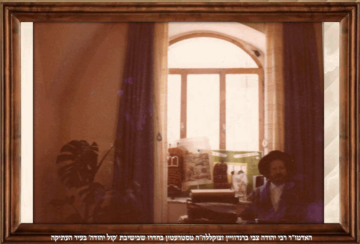 rabbi-yehudah-tzvi-brandwein-199