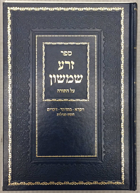 rabbi-shimshon-chaim-nachmani-622