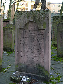 rabbi-pinchas-halevi-horowitz-4