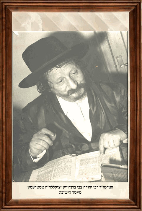 rabbi-yehudah-tzvi-brandwein-199
