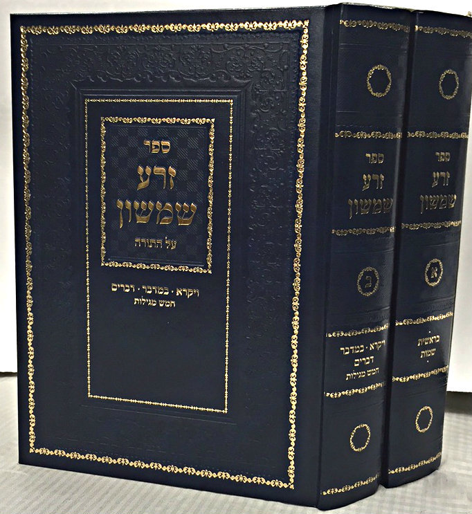 rabbi-shimshon-chaim-nachmani-622