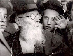 Rabbi Avrohom Yeshaya Karelitz