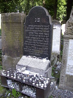 rabbi-klonymos-kalman-halevi-epstein-35