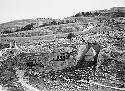 rabbi-avraham-shlomo-zalman-zoref-902