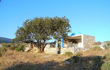 rabbi-chanina-segan-hakohanim-32