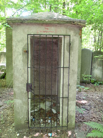 rabbi-salomon-henoch-rabinowicz-1228