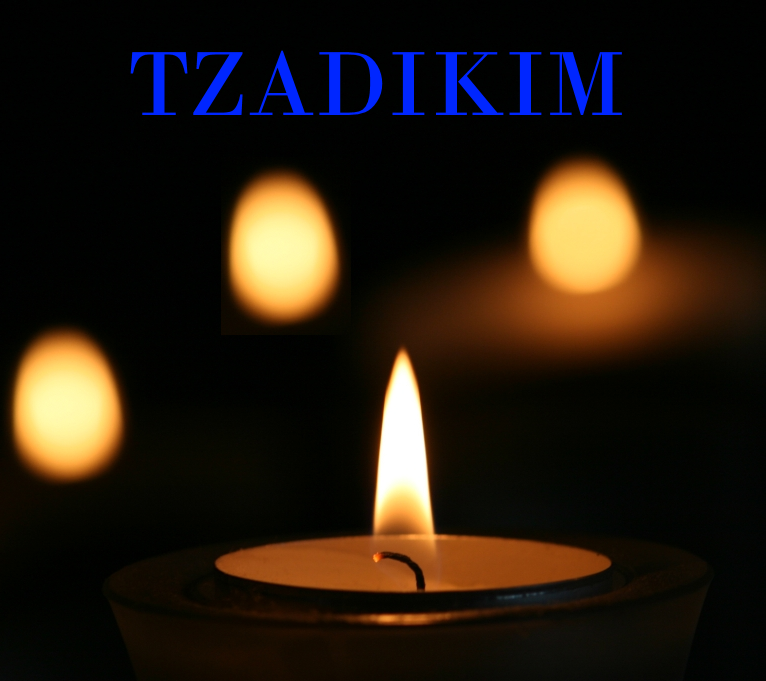 rabbi-aharon-of-karlin-ii-26