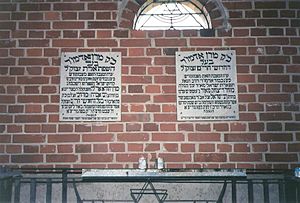 rabbi-yehudah-aryeh-leib-alter-768