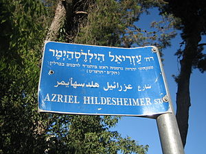 rabbi-dr-azriel-hildesheimer-1241