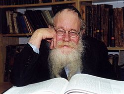 Rabbi Adin Steinsaltz